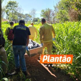 Pintor é encontrado morto em córrego no fundo de vale, em Maringá Foto 12 Fotos de Pintor é encontrado morto em córrego no fundo de vale, em Maringá