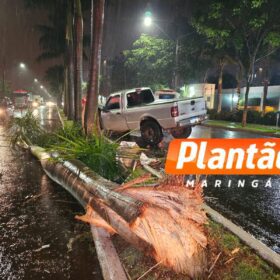Três mulheres ficam feridas após grave acidente na Avenida das Indústrias, em Maringá Foto 6 Fotos de Três mulheres ficam feridas após grave acidente na Avenida das Indústrias, em Maringá