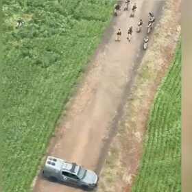 Fotos de Assalto a oficina termina com um suspeito morto e outro preso após confronto com a polícia na região