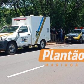 Fotos de Corpo em estado avançado de decomposição é encontrado em fundo de vale em Maringá