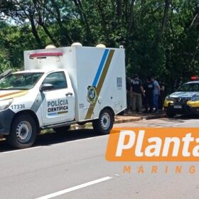 Fotos de Corpo em estado avançado de decomposição é encontrado em fundo de vale em Maringá