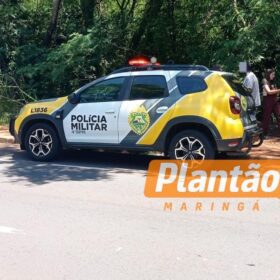 Fotos de Corpo em estado avançado de decomposição é encontrado em fundo de vale em Maringá