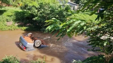 Fotos de Menina de 4 anos que estava em carro que caiu em rio no Paraná morre no hospital