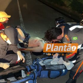Motociclista fica em estado gravíssimo após cair de aproximadamente oito metros no Contorno Norte de Maringá Foto 11 Fotos de Motociclista fica em estado gravíssimo após cair de aproximadamente oito metros no Contorno Norte de Maringá