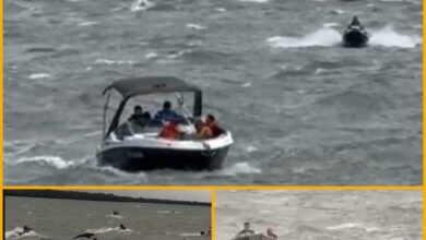 Fotos de Pilotos de barcos e jet-skis enfrentam ventos intensos em Porto Rico no Rio Paraná; VÍDEO
