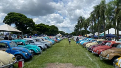 Fotos de 900 carros antigos invadem Maringá em evento que deve atrair mais de 10 mil pessoas