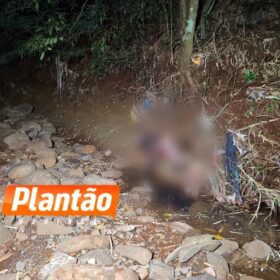 Fotos de Homem encontrado morto em fundo de vale entre Maringá e Sarandi é identificado
