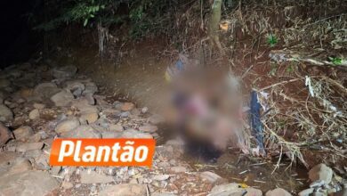 Fotos de Corpo de homem é encontrado em fundo de vale em Sarandi