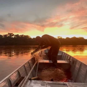 Fiscalização da piracema em Maringá e região resulta em 4 presos e mais de 100 kg de peixes apreendidos Foto 3 Fotos de Fiscalização da piracema em Maringá e região resulta em 4 presos e mais de 100 kg de peixes apreendidos