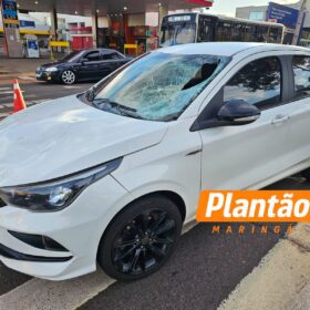 Homem é atropelado em faixa de pedestres por motorista embriagado e com CNH suspensa, em Maringá Foto 10 Fotos de Homem é atropelado em faixa de pedestres por motorista embriagado e com CNH suspensa, em Maringá