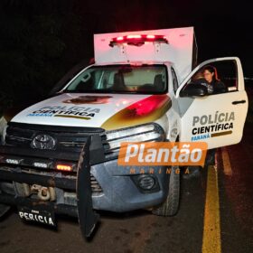 IML de Maringá pede ajuda para localizar familiares de homem morto atropelado Foto 2 Fotos de IML de Maringá pede ajuda para localizar familiares de homem morto atropelado
