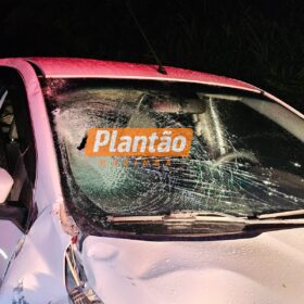 IML de Maringá pede ajuda para localizar familiares de homem morto atropelado Foto 8 Fotos de IML de Maringá pede ajuda para localizar familiares de homem morto atropelado