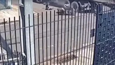 Fotos de Imagens impressionantes mostram motociclista escapando por pouco de tragédia; vídeo