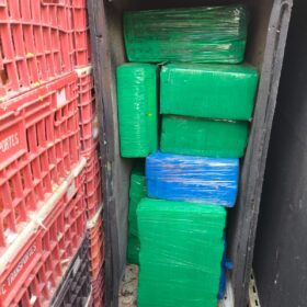Fotos de Motorista é preso com quase 2 toneladas de maconha escondidas em caminhão de frango vivo na região de Maringá; vídeo