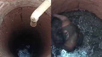 Fotos de Mulher cai em fossa de quatro metros ao tentar colher limões no quintal de casa em Marialva