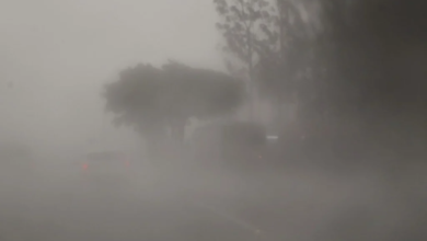 Fotos de Paraná já está em alerta de tempestade; veja os detalhes