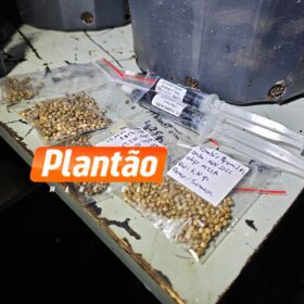 Pelotão de Choque apreende estufas de maconha em edifício comercial no centro de Maringá Foto 1 Fotos de Pelotão de Choque apreende estufas de maconha em edifício comercial no centro de Maringá