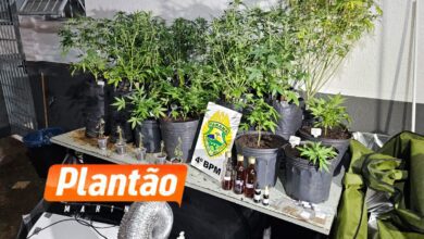 Fotos de Pelotão de Choque apreende estufas de maconha em edifício comercial no centro de Maringá