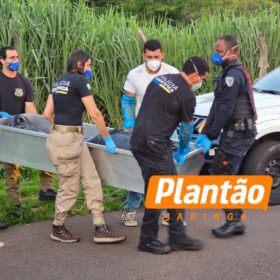 Corpo encontrado em fundo de vale em Maringá é identificado; caso segue sob investigação Foto 3 Fotos de Corpo encontrado em fundo de vale em Maringá é identificado; caso segue sob investigação