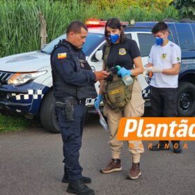 Corpo encontrado em fundo de vale em Maringá é identificado; caso segue sob investigação Foto 4 Fotos de Corpo encontrado em fundo de vale em Maringá é identificado; caso segue sob investigação