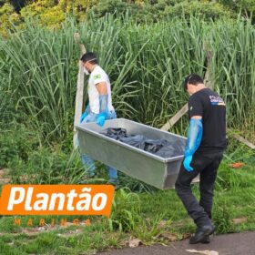 Corpo encontrado em fundo de vale em Maringá é identificado; caso segue sob investigação Foto 5 Fotos de Corpo encontrado em fundo de vale em Maringá é identificado; caso segue sob investigação