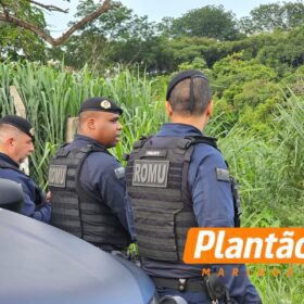 Corpo encontrado em fundo de vale em Maringá é identificado; caso segue sob investigação Foto 7 Fotos de Corpo encontrado em fundo de vale em Maringá é identificado; caso segue sob investigação