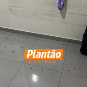 Fotos de Criminosos fortemente armados invadem casa e matam homem em Sarandi