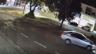 Fotos de Cadela cuidada há nove anos por moradores é atropelada e morre em cidade da região; veja o vídeo
