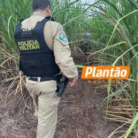 Corpo de homem sequestrado é encontrado em canavial entre Maringá e Iguaraçu Foto 1 Fotos de Corpo de homem sequestrado é encontrado em canavial entre Maringá e Iguaraçu