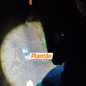 Dois jovens são executados a tiros em possível emboscada na PR-458; os corpos foram encaminhados ao IML de Maringá Foto 4 Fotos de Dois jovens são executados a tiros em possível emboscada na PR-458; os corpos foram encaminhados ao IML de Maringá