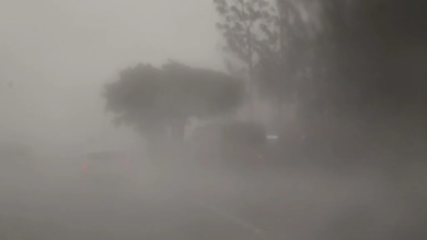 Fotos de Frente fria traz chuva para todo o Paraná e 244 cidades entram em alerta laranja de tempestade