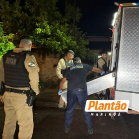 Idosa é encontrada morta em Paiçandu; cachorro teria mordido o rosto da vítima após o óbito Foto 3 Fotos de Idosa é encontrada morta em Paiçandu; cachorro teria mordido o rosto da vítima após o óbito