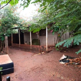 Menina venezuelana de 8 anos é encontrada morta em área rural de São Manoel do Paraná Foto 3 Fotos de Menina venezuelana de 8 anos é encontrada morta em área rural de São Manoel do Paraná