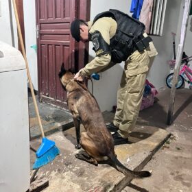 Gaeco cumpre 20 mandados de prisão contra líderes de facção em Maringá e outras cidades do Paraná Foto 6 Fotos de Gaeco cumpre 20 mandados de prisão contra líderes de facção em Maringá e outras cidades do Paraná
