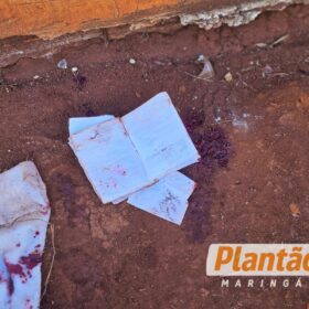 Homem de 34 anos é esfaqueado durante briga em terreno baldio em Maringá Foto 5 Fotos de Homem de 34 anos é esfaqueado durante briga em terreno baldio em Maringá