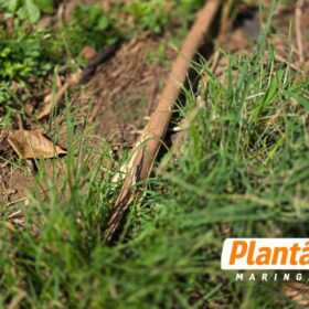Homem é brutalmente espancado em Sarandi e fica em estado grave Foto 6 Fotos de Homem é brutalmente espancado em Sarandi e fica em estado grave