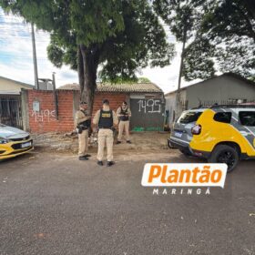 Pedreiro é encontrado morto com ferimentos na cabeça em Sarandi; amigo é o principal suspeito Foto 11 Fotos de Pedreiro é encontrado morto com ferimentos na cabeça em Sarandi; amigo é o principal suspeito