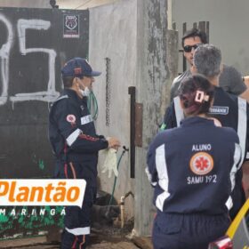 Pedreiro é encontrado morto com ferimentos na cabeça em Sarandi; amigo é o principal suspeito Foto 10 Fotos de Pedreiro é encontrado morto com ferimentos na cabeça em Sarandi; amigo é o principal suspeito
