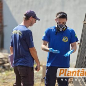 Homem é encontrado morto em terreno baldio em Sarandi; caso é investigado Foto 11 Fotos de Homem é encontrado morto em terreno baldio em Sarandi; caso é investigado