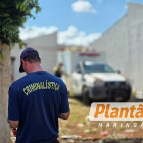 Homem é encontrado morto em terreno baldio em Sarandi; caso é investigado Foto 12 Fotos de Homem é encontrado morto em terreno baldio em Sarandi; caso é investigado