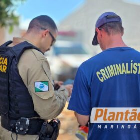 Homem é encontrado morto em terreno baldio em Sarandi; caso é investigado Foto 13 Fotos de Homem é encontrado morto em terreno baldio em Sarandi; caso é investigado