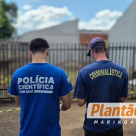 Homem é encontrado morto em terreno baldio em Sarandi; caso é investigado Foto 5 Fotos de Homem é encontrado morto em terreno baldio em Sarandi; caso é investigado