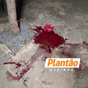 Novas imagens mostram tentativa de homicídio que deixou jovem em estado gravíssimo em Sarandi Foto 3 Fotos de Novas imagens mostram tentativa de homicídio que deixou jovem em estado gravíssimo em Sarandi