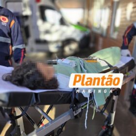 Menina de 9 anos é baleada dentro de casa em Sarandi e caso é investigado Foto 3 Fotos de Menina de 9 anos é baleada dentro de casa em Sarandi e caso é investigado