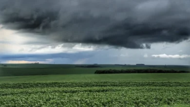 Fotos de Primeira onda de frio intenso já tem data para chegar ao Paraná; veja os detalhes