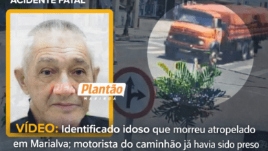Fotos de Motorista que atropelou e matou homem de 75 anos na região estava com CNH suspensa e tem histórico de embriaguez; vídeo