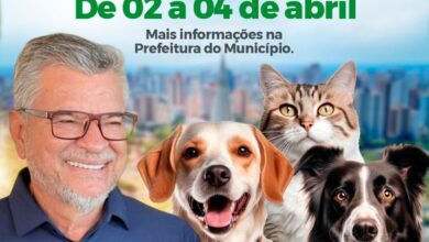 Fotos de Com apoio do deputado Delegado Jacovós, Maringá recebe 702 castrações gratuitas a partir desta quinta-feira