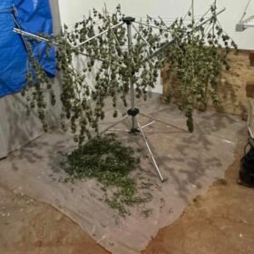 Gaeco de Maringá desarticula organização criminosa que fabricava anabolizantes em laboratório clandestino e simulava grife europeia Foto 7 Fotos de Gaeco de Maringá desarticula organização criminosa que fabricava anabolizantes em laboratório clandestino e simulava grife europeia