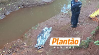 Fotos de Homem não resiste e morre após afogamento em córrego nos fundos do Parque Ecológico de Sarandi