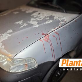 Câmera jovem sendo executado a tiros em conveniência em Sarandi Foto 7 Fotos de Câmera jovem sendo executado a tiros em conveniência em Sarandi